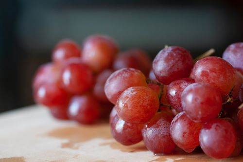 Factoren die de houdbaarheidsdatum van rode wijn beïnvloeden